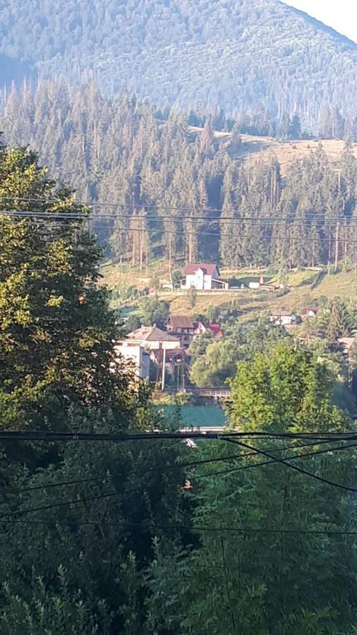 Садиба Під Лісом Volovets Esterno foto
